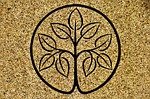 tree, seed, design, structure, stone, nature, wall, natural stone